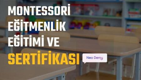 Montessori Eğitmenlik Sertifikası Nasıl Alınır?